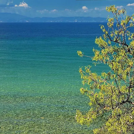 Balconies On Sea Скала Сотирос